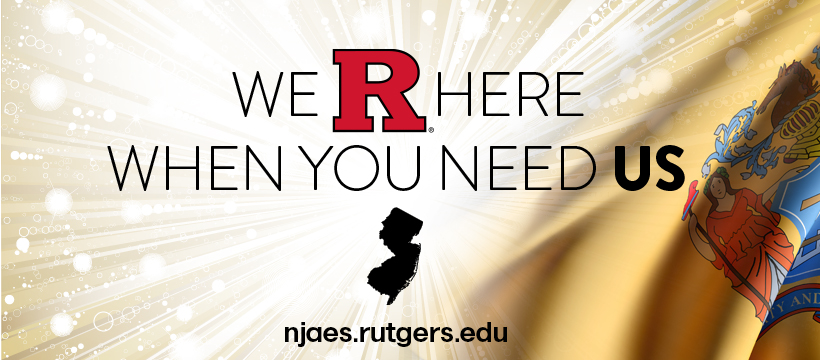 Facebook cover photo: We R Here When You Need Us.